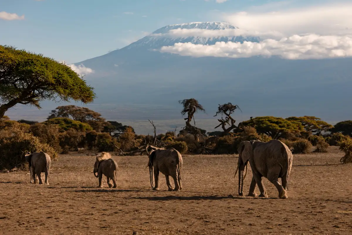 tanziania mount kilimanjaro