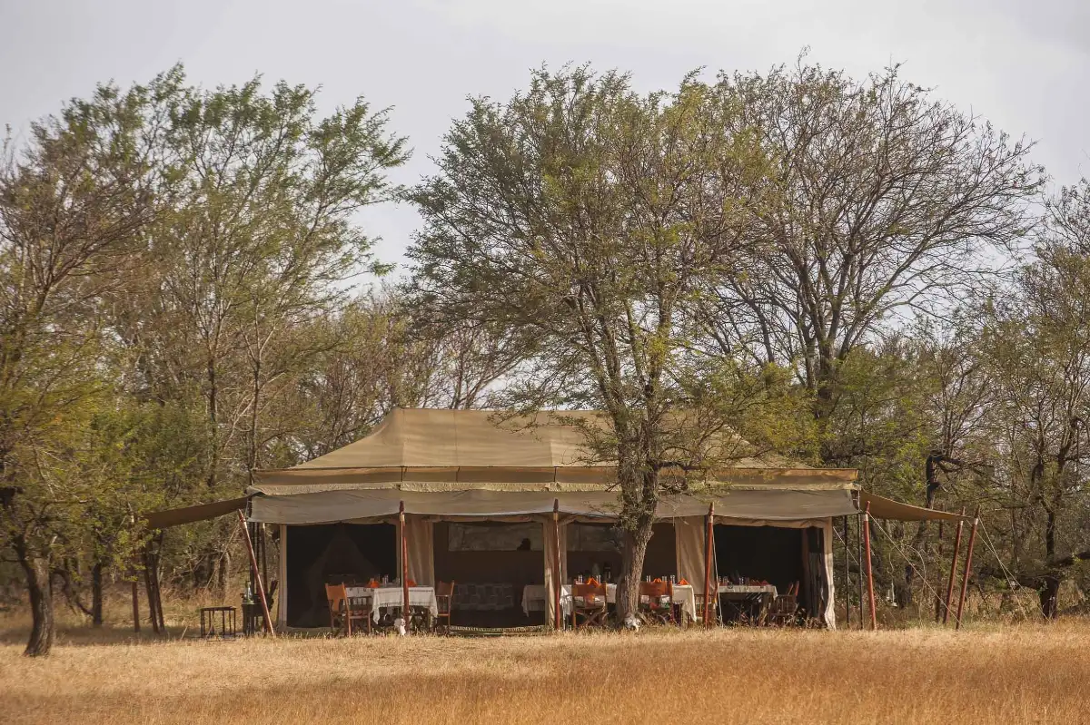 Ndutu Under Canvas South Serengeti