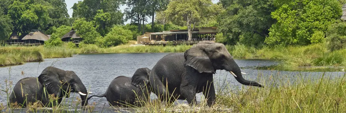Tarangire National Park