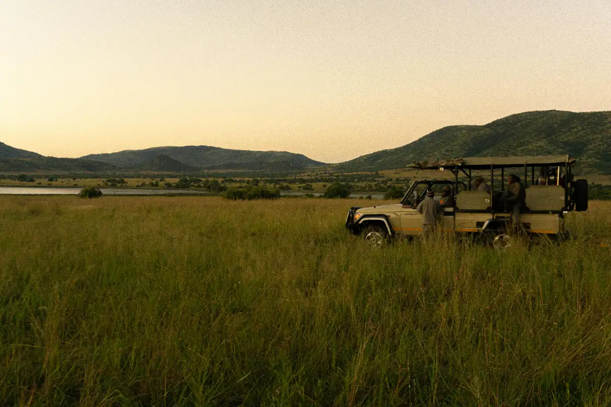 kruger game drive