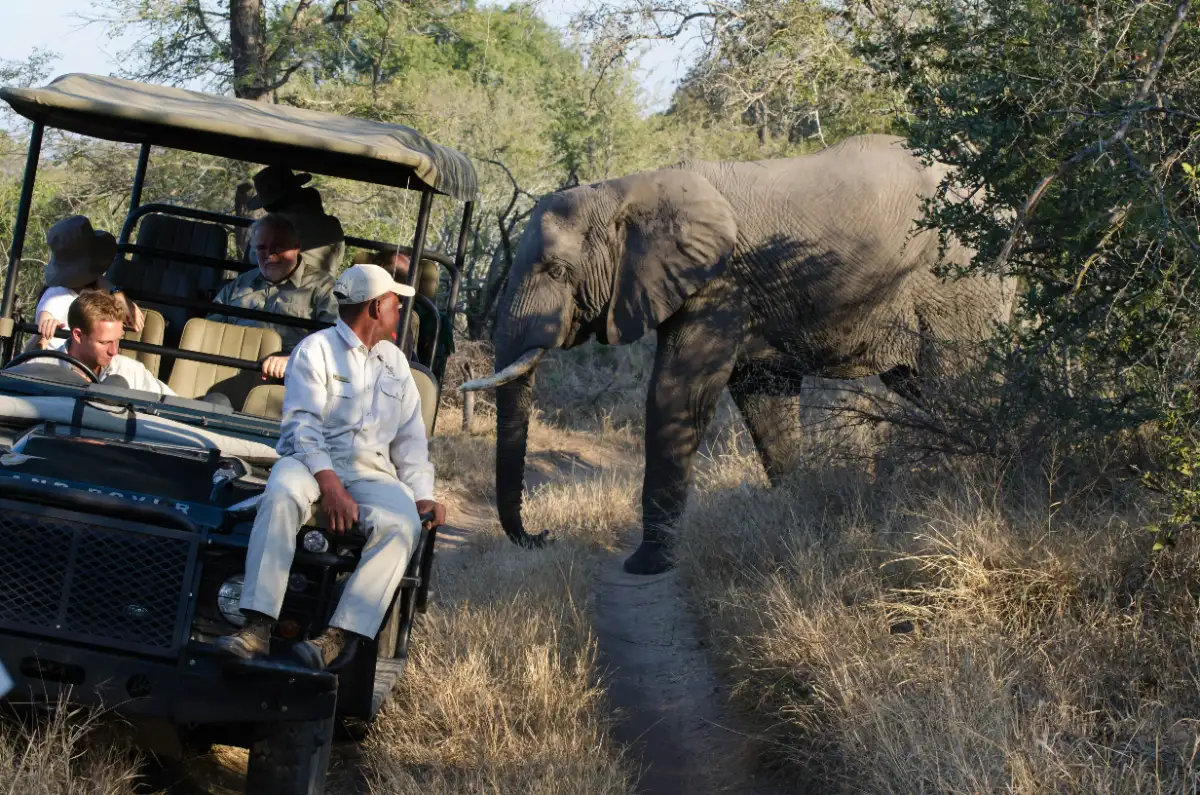 Timbavati