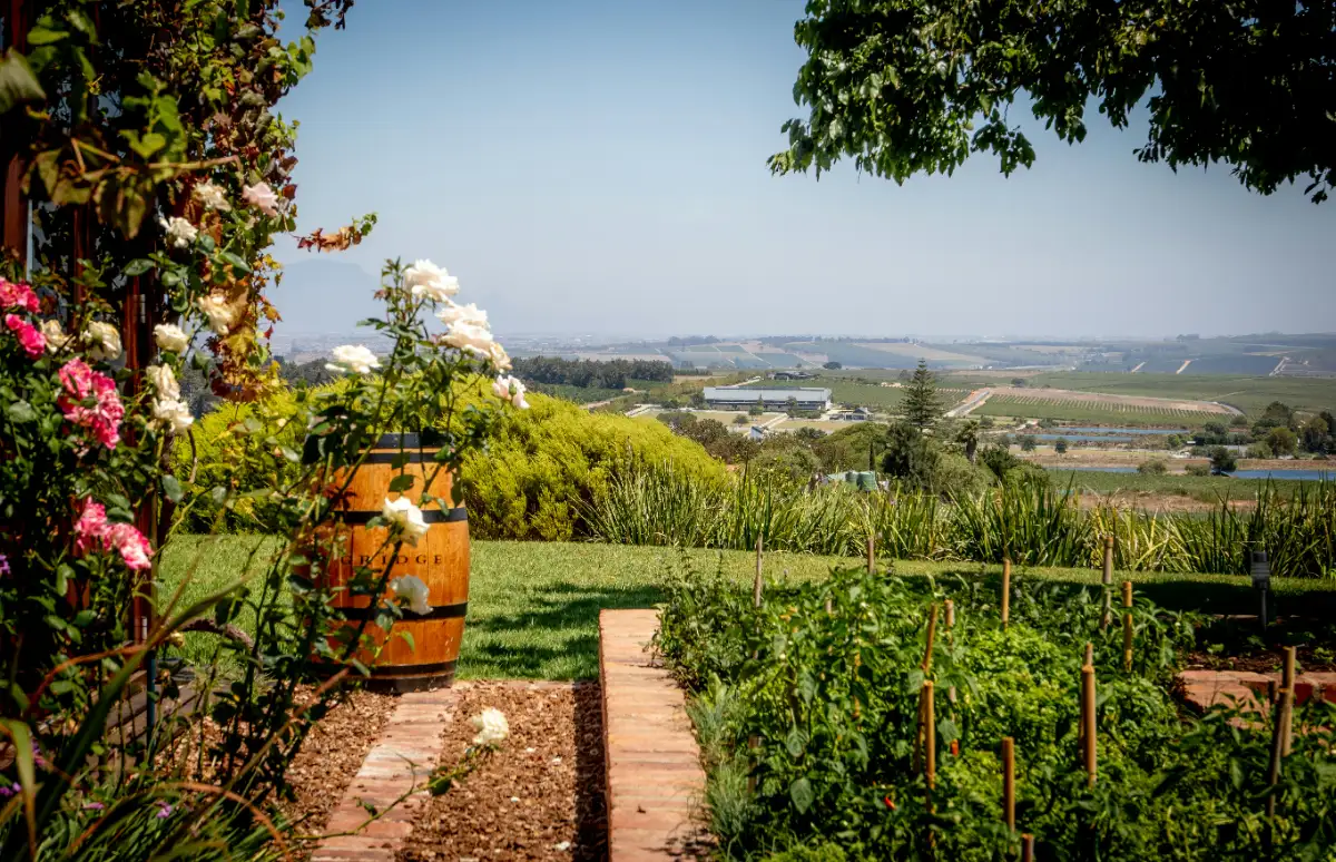 Cape Winelands