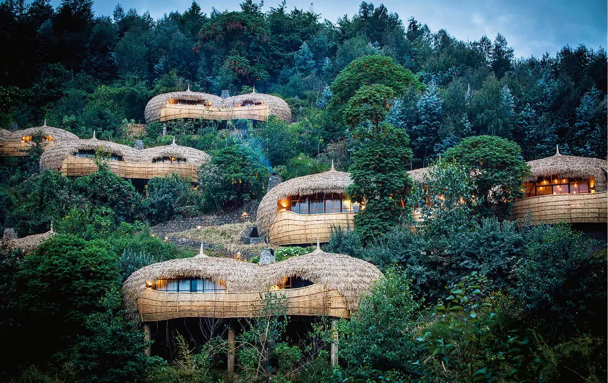 Bisate Lodge