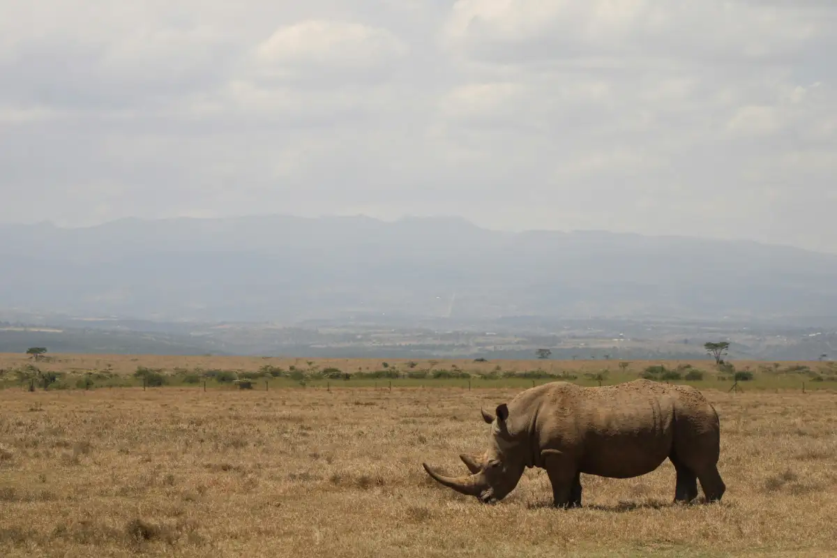 Laikipia Plateau