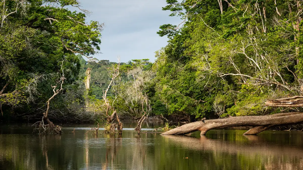 Loango Coast Gabon, cultural experiences in africa