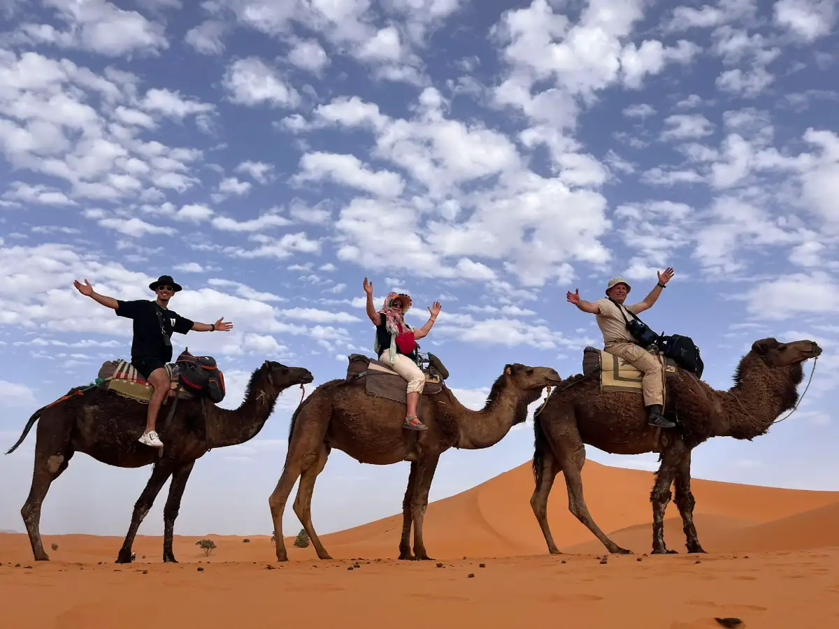 tourists riding camels in morocco