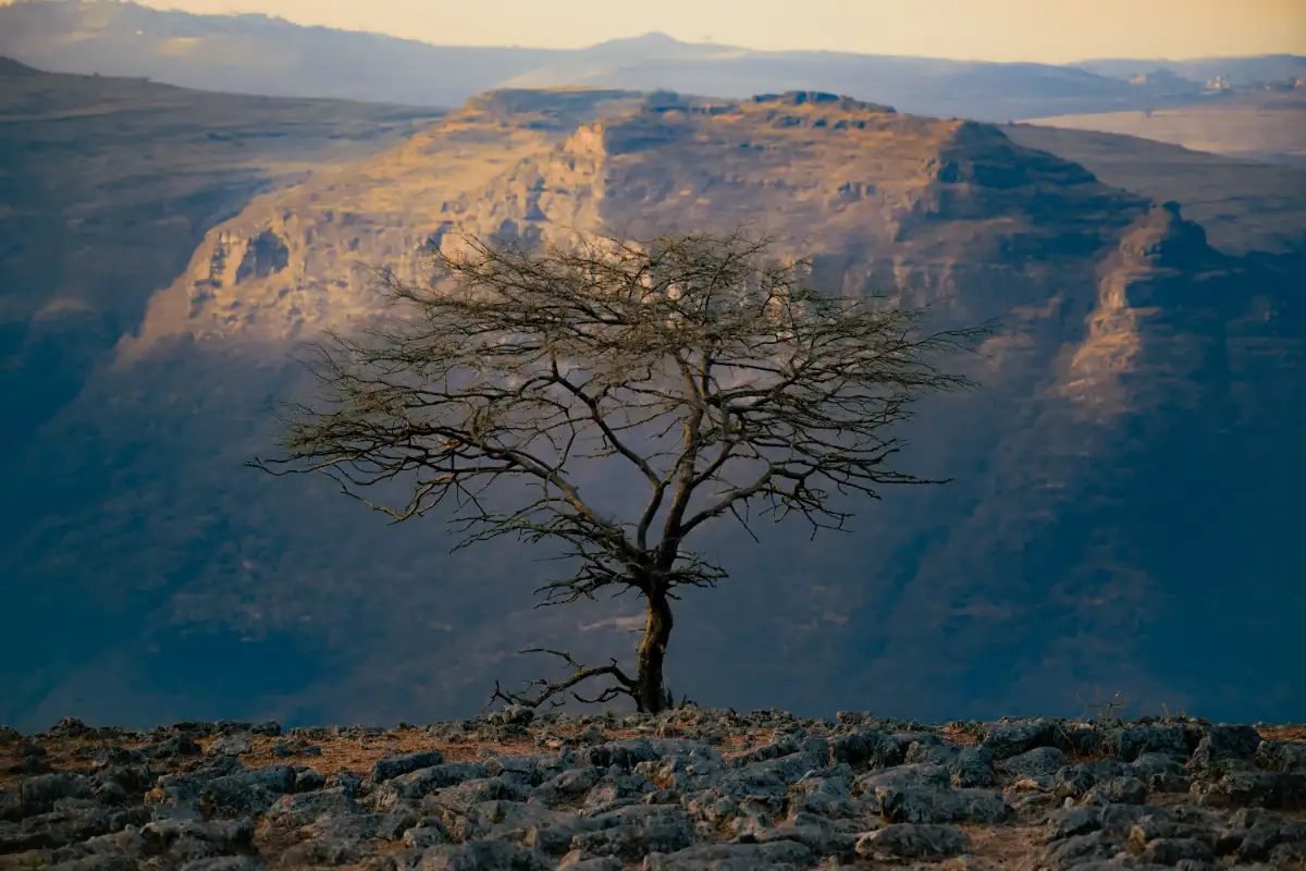 Simien Mountains