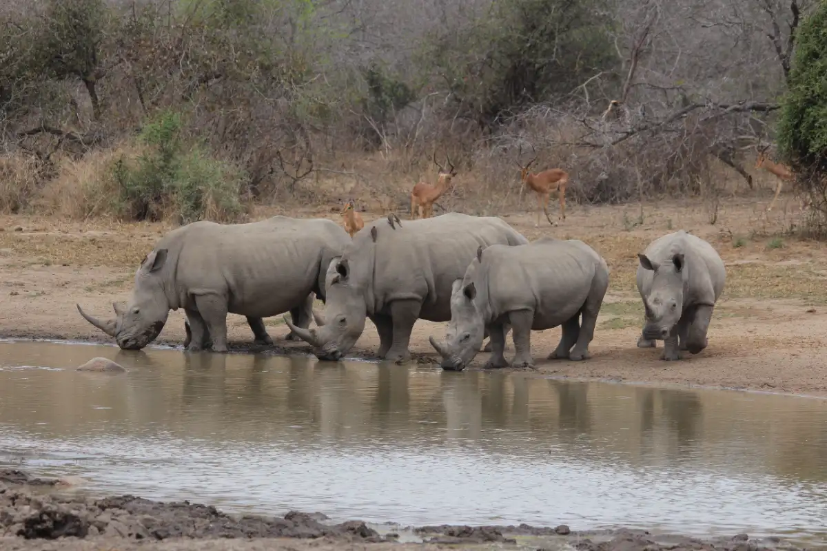 Mount Kenya National Park